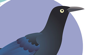 View Full Image